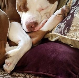 Meet your Posher, Ramona